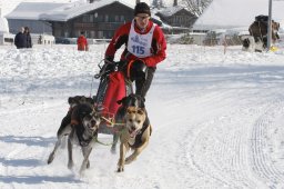 Lenk 2012 SM